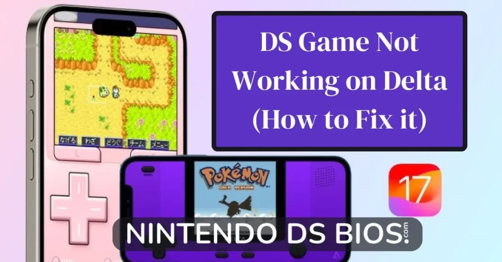 DS Game Not Working on Delta (How to Fix it)